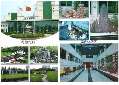 橄欖果酵素飲品OEM代加工一站式服務與技術咨詢