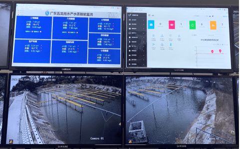 花都區(qū) 科技興漁啟新程，人工智能與“芯片魚(yú)”引領(lǐng)智慧漁業(yè)探索